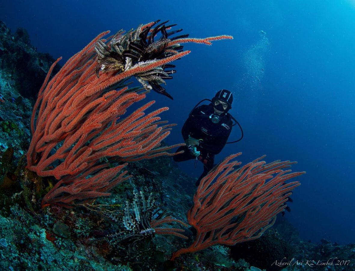 K2 Lembeh Dive Resort Bitung Exterior foto